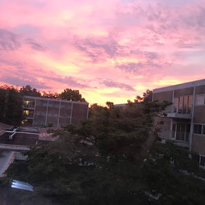 Meet your Posher, Saya